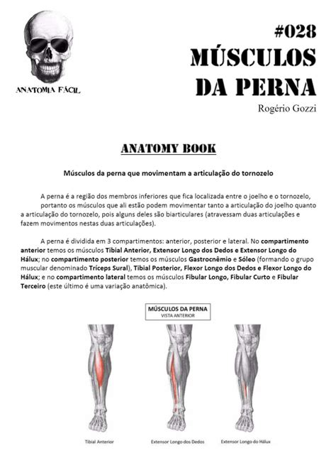 Anatomy Book A Ao Dos Musculos Da Perna E Panturrilha Anatomia