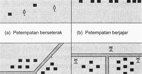 Geografi Tingkatan 2 Pola Petempatan