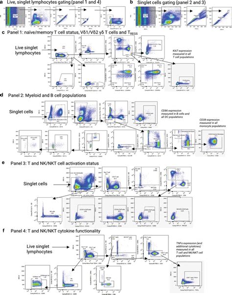 Flow Cytometry Gating Strategies For All Four Panels Ab Download