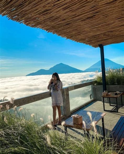 Daftar Harga Menu Tegu Kopi Kintamani Bali Travelandword