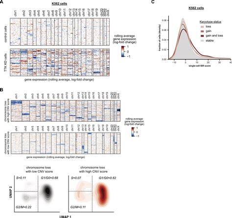 Mapping Information Rich Genotype Phenotype Landscapes With Genome