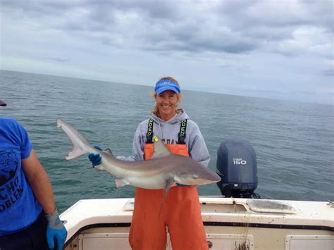 Best Spots To Go Shark Fishing In Florida Updated