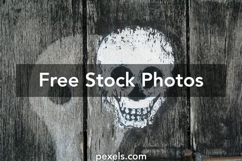 Skull Fracture Photos, Download The BEST Free Skull Fracture Stock ...