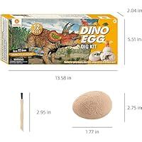 Morkka Oeufs De Dinosaure Kit De Fouille Pack D Couvrez Dinos