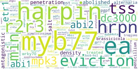 JASPAR - MYB77 - MA0575.2 - profile summary