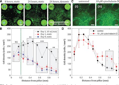 Figure 3 From A Fluidic Culture Platform For Spatially Patterned Cell