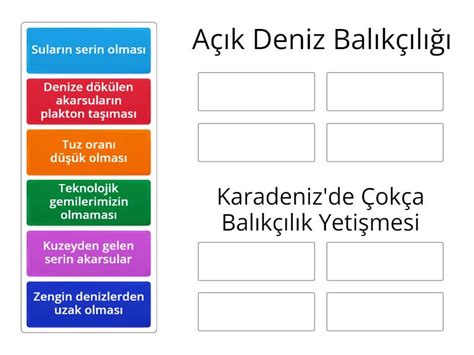 Balıkçılık Nedenler Group sort