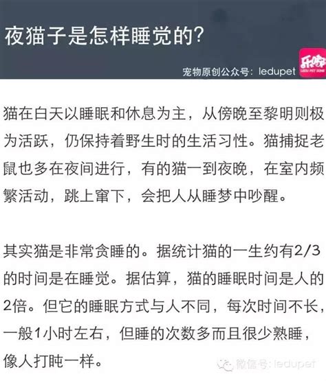 貓的智商有多高？會說話？ 每日頭條