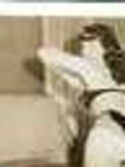 Excellent Old Days ZB Porn