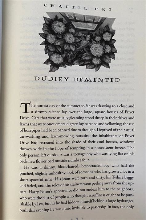 Harry Potter Chapter Book Art