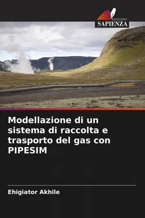 PDF Modellazione Di Un Sistema Di Raccolta E Trasporto Del Gas Con