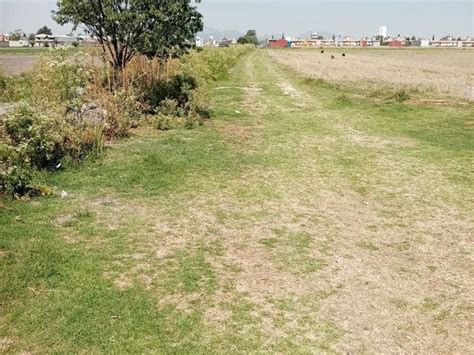 Venta Lote De Terreno En San Mateo Otzacatipan Toluca Lla