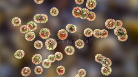 Bacteria Pediococcus, 3D Illustration Stock Illustration - Illustration ...