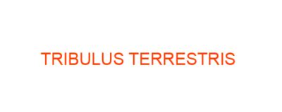 TRIBULUS TERRESTRIS Homeopathic Medicine Uses Symptoms Treatment