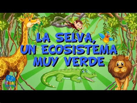 Ecosistema De La Selva Y Sus Caracteristicas