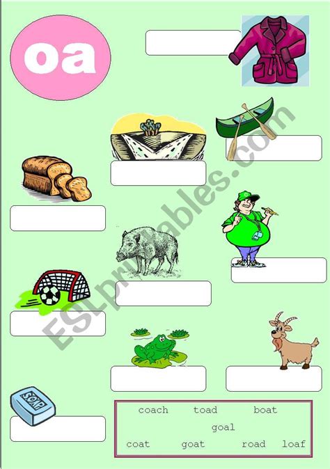 Oa Phonics Worksheet