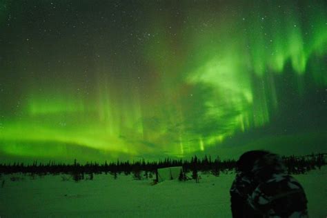 Viewing the Churchill, Manitoba Northern Lights: A True Canadian Bucket ...