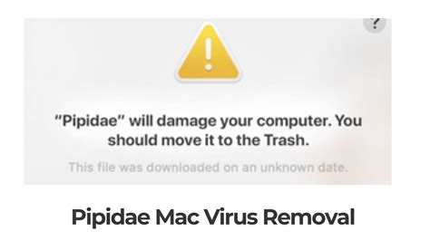 Pipidae Malware Mac Removal 5 Min Guide