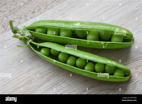 Two Fresh Garden Pea Pods Pisum Sativum Isolated On A Wood