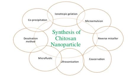 Chitosan Nanoparticles