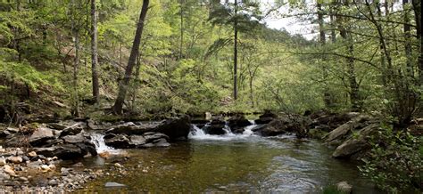 Caney Creek Trail West Ouachita Forest 11 Mi Oandb Arklahoma Hiker