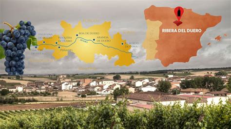 10 Amazing Wineries In Ribera Del Duero Spain With Map