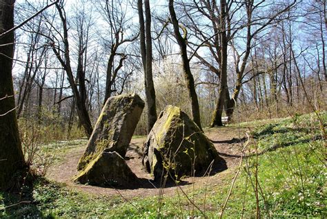 Пионерский, Калининградская область — путеводитель по городу