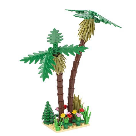 coconut tree vs palm 10