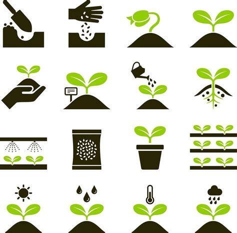 Iconos De Plantas Ilustraciones Vectoriales 2093735 Vector En Vecteezy