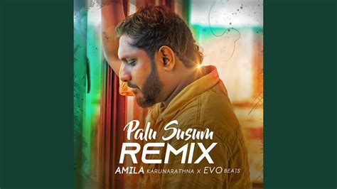 Palu Susum Remix Youtube