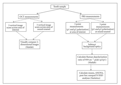 Flowchart Of The Oct And Prs Data Collection And Analysis Methods