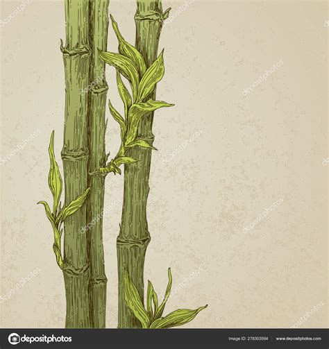 Vintage Background With Green Bamboo On Old Paper Stock Vector By