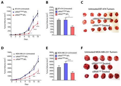 Cancers Free Full Text Ceramide Kinase Cerk Emerges As A Common