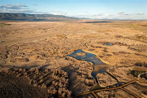 Urge Salvar El Parque Nacional De Las Tablas De Daimiel Revista Quercus