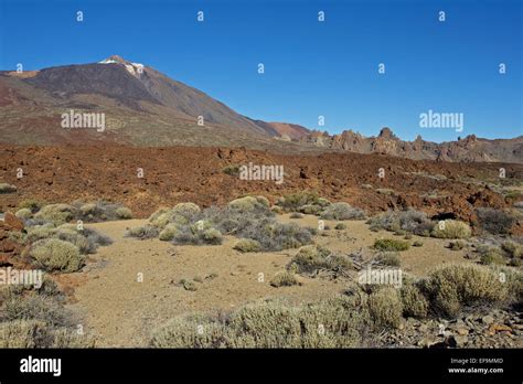 Volcano Teide Los Roques De Garcia Llano De Ucanca Las Ca Adas Del