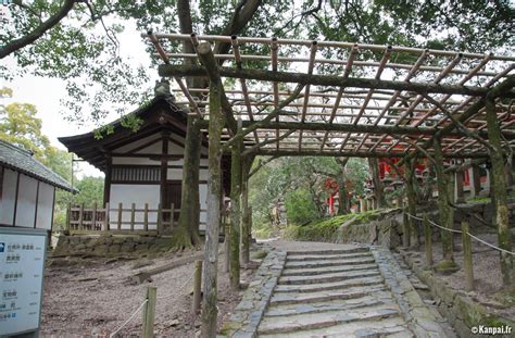 kasuga taisha le sanctuaire aux lanternes de nara