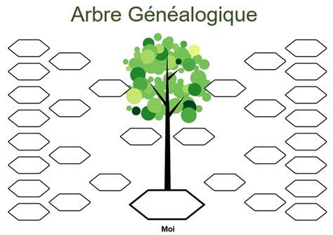 Modèle d arbre généalogique 4 générations Gratuit