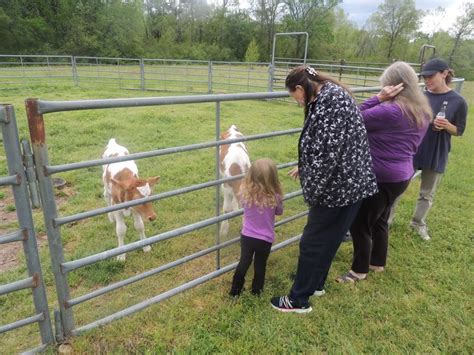 Pin By Cyndi On Vacation Hot Springs Day Board Spring Day Hot Springs Vacation