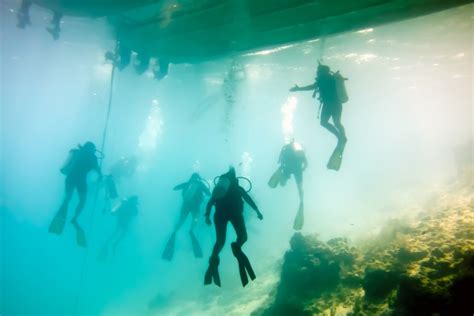 Diving The Great Blue Hole in Belize: What You Need to Know