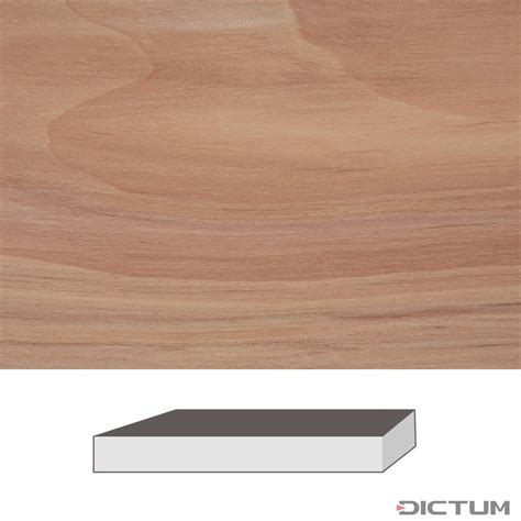 Apple 300 X 60 X 60 Mm European Wood Dictum