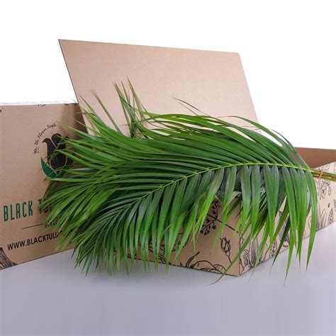 Areca Palm Leaves | Flower Delivery Dubai