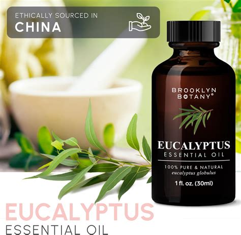 Brooklyn Botany Aceite Esencial De Eucalipto 100 Puro Y Natural Aceite