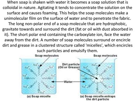 Foaming Capacity Of Different Soaps