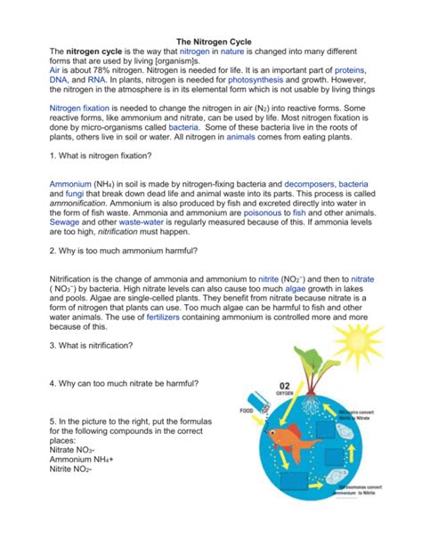 The Nitrogen Cycle