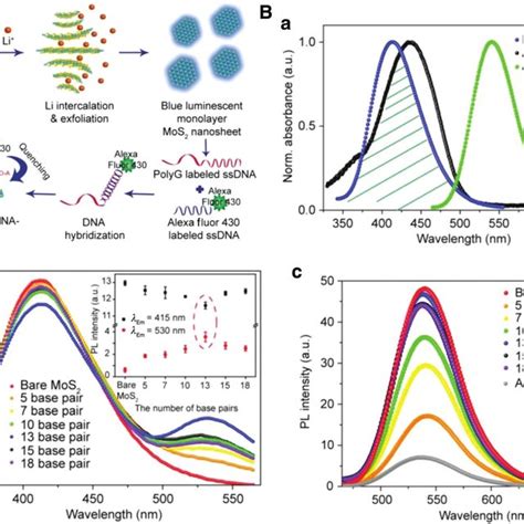 Fret Sensors Using Bp Nanosheets As The Fluorescence Quencher A