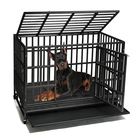 Buy SHUSHIM Enhanced Heavy Duty Dog Kennel Crate Cage with Strong Metal ...