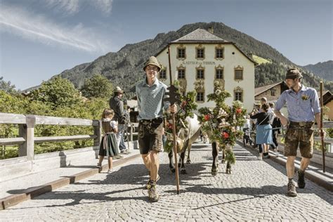 Traditioneller Almabtrieb Durch Das Pfundser Turaloch Presse Tirol