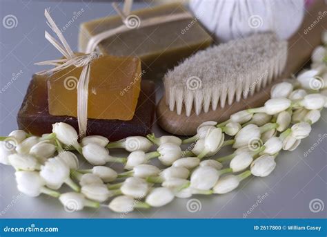 Spa Body Brush And Soap Stock Photo Image Of Body Candle 2617800