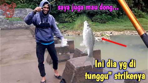 Mancing Ikan Melem Di Spot Ini Ternyata Babon Babon Youtube