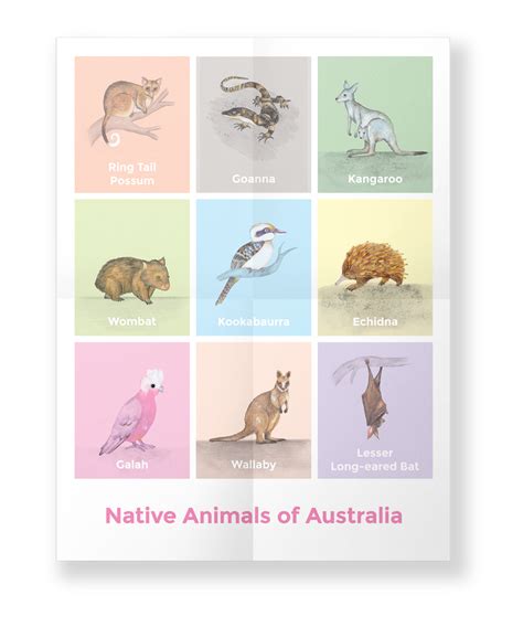 Native Animals of Australia - Hilary Faye Design